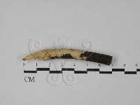 登錄號:F0029063藏品圖，第1張