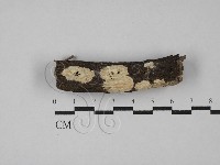 登錄號:F0029064藏品圖，第1張