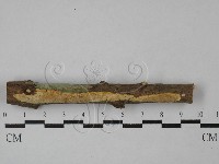 登錄號:F0029065藏品圖，第1張