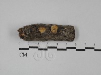 登錄號:F0029066藏品圖，第1張