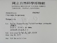 登錄號:F0029067藏品圖，第2張