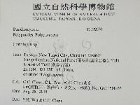 登錄號:F0029070藏品圖，第2張