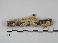 登錄號:F0029071藏品圖，第1張