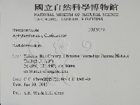 登錄號:F0029073藏品圖，第2張