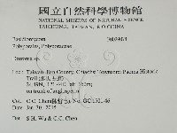 登錄號:F0029074藏品圖，第2張