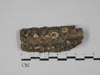 登錄號:F0029074藏品圖，第1張