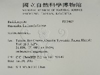 登錄號:F0029075藏品圖，第2張