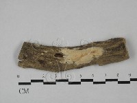 登錄號:F0029077藏品圖，第1張