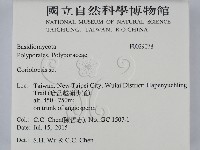 登錄號:F0029078藏品圖，第2張