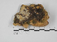 登錄號:F0029078藏品圖，第3張