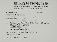 登錄號:F0029080藏品圖，第2張