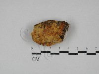 登錄號:F0029080藏品圖，第1張