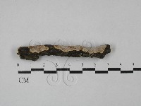 登錄號:F0029081藏品圖，第1張