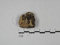 登錄號:F0029082藏品圖，第1張