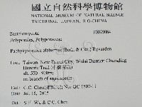 登錄號:F0029084藏品圖，第2張