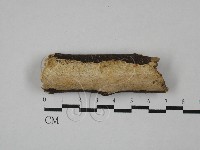 登錄號:F0029084藏品圖，第1張