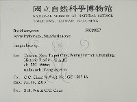 容氏菌屬藏品圖，第2張