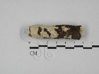登錄號:F0029088藏品圖，第1張