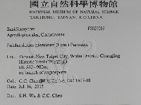 登錄號:F0029089藏品圖，第2張