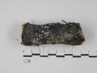 登錄號:F0029089藏品圖，第1張