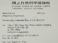 登錄號:F0029090藏品圖，第2張