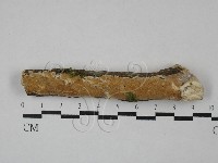 登錄號:F0029090藏品圖，第1張