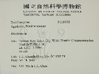 粉褶菌屬藏品圖，第2張