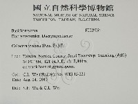 登錄號:F0029094藏品圖，第2張