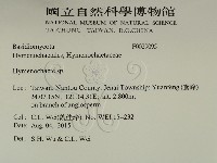 刺革菌屬藏品圖，第2張