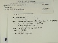 射脈菌屬藏品圖，第2張