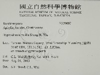 登錄號:F0029097藏品圖，第2張