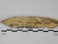 登錄號:F0029098藏品圖，第1張