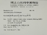 登錄號:F0029101藏品圖，第2張