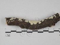 登錄號:F0029101藏品圖，第1張