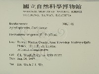 剛毛絲皮菌藏品圖，第2張