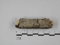 登錄號:F0029103藏品圖，第1張