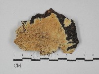 登錄號:F0029104藏品圖，第1張