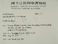 絲齒菌屬藏品圖，第2張