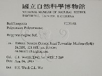 登錄號:F0029108藏品圖，第2張