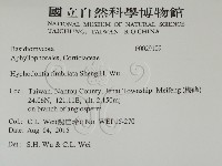 登錄號:F0029109藏品圖，第2張