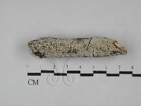 登錄號:F0029109藏品圖，第1張