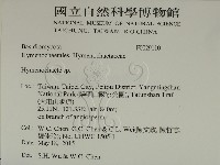 刺革菌屬藏品圖，第2張