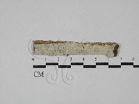 登錄號:F0029112藏品圖，第1張