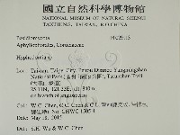 絲齒菌屬藏品圖，第2張
