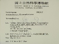 刺革菌屬藏品圖，第2張