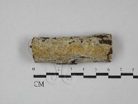 登錄號:F0029116藏品圖，第1張