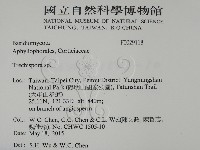 登錄號:F0029118藏品圖，第2張