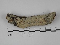 登錄號:F0029118藏品圖，第1張
