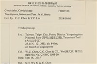 登錄號:F0029118藏品圖，第3張