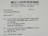 刺皮菌屬藏品圖，第2張